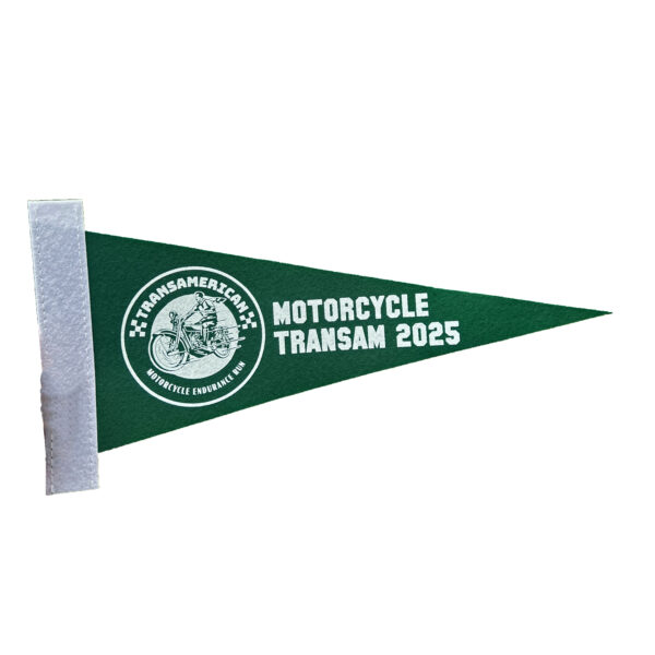 Mini Felt Pennant